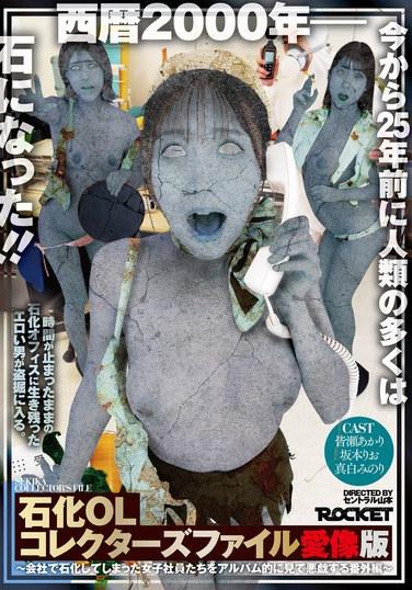 石化OL收藏家檔案 愛像版